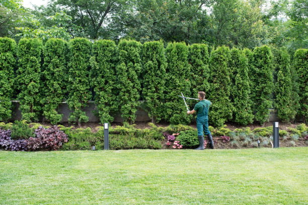 Lawn Irrigation Installation and Maintenance in Winchester, IL